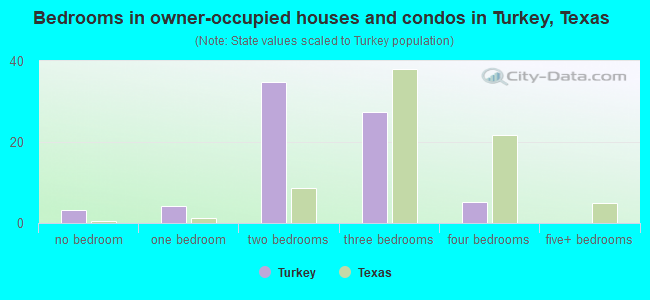 Bedrooms in owner-occupied houses and condos in Turkey, Texas