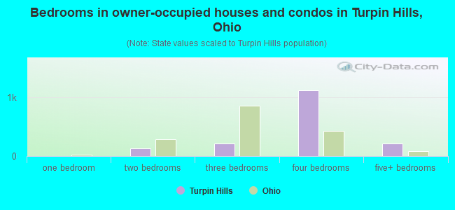 Bedrooms in owner-occupied houses and condos in Turpin Hills, Ohio