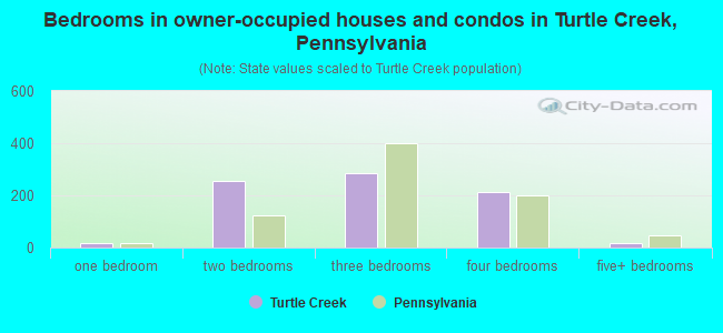 Bedrooms in owner-occupied houses and condos in Turtle Creek, Pennsylvania