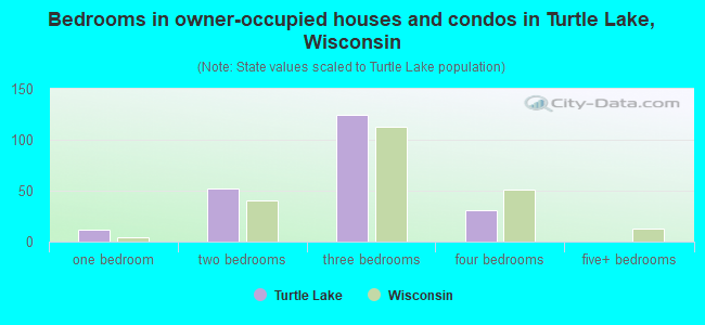 Bedrooms in owner-occupied houses and condos in Turtle Lake, Wisconsin