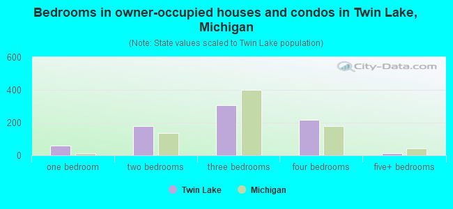 Bedrooms in owner-occupied houses and condos in Twin Lake, Michigan