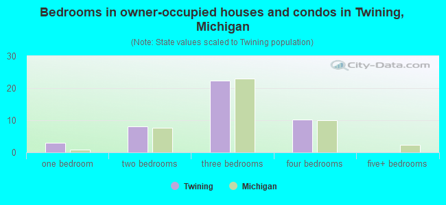 Bedrooms in owner-occupied houses and condos in Twining, Michigan