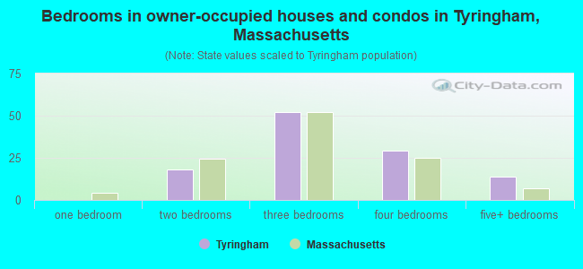 Bedrooms in owner-occupied houses and condos in Tyringham, Massachusetts