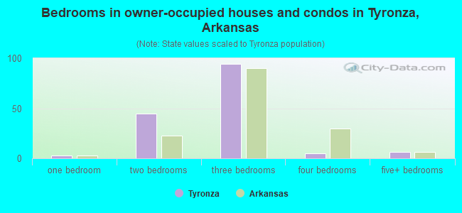 Bedrooms in owner-occupied houses and condos in Tyronza, Arkansas