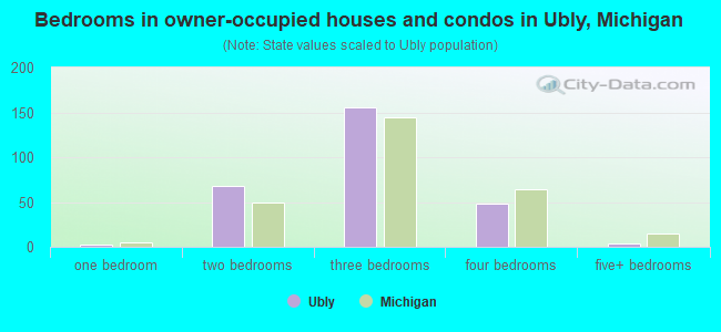 Bedrooms in owner-occupied houses and condos in Ubly, Michigan