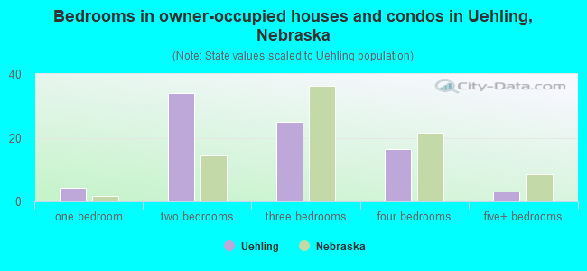 Bedrooms in owner-occupied houses and condos in Uehling, Nebraska