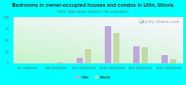 Bedrooms in owner-occupied houses and condos in Ullin, Illinois