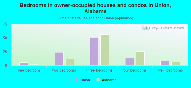 Bedrooms in owner-occupied houses and condos in Union, Alabama