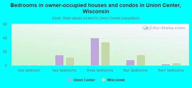Bedrooms in owner-occupied houses and condos in Union Center, Wisconsin