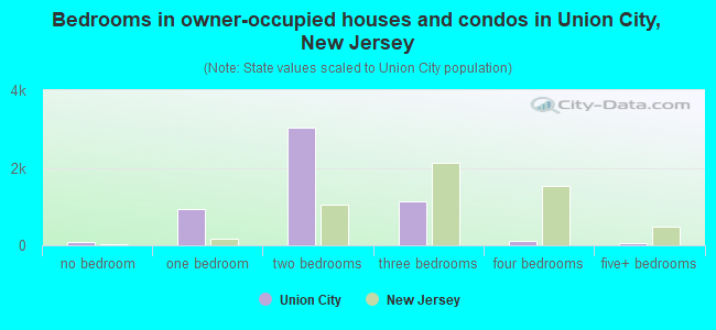 Bedrooms in owner-occupied houses and condos in Union City, New Jersey