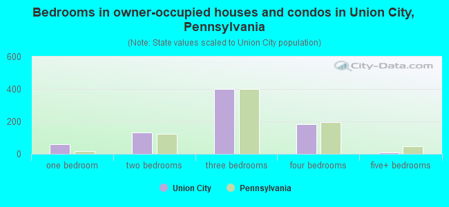 Bedrooms in owner-occupied houses and condos in Union City, Pennsylvania