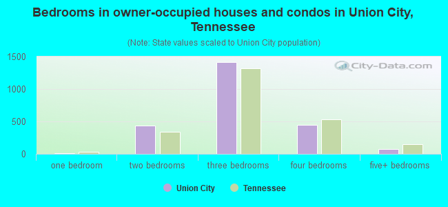 Bedrooms in owner-occupied houses and condos in Union City, Tennessee