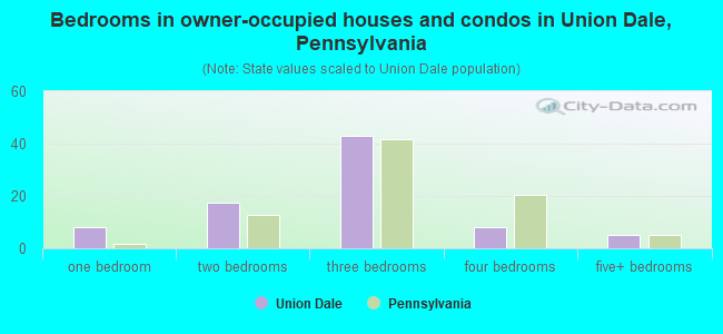 Bedrooms in owner-occupied houses and condos in Union Dale, Pennsylvania