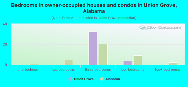 Bedrooms in owner-occupied houses and condos in Union Grove, Alabama
