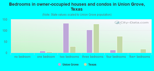 Bedrooms in owner-occupied houses and condos in Union Grove, Texas