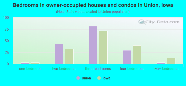 Bedrooms in owner-occupied houses and condos in Union, Iowa