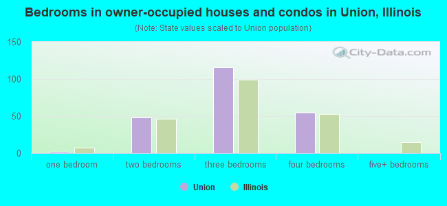 Bedrooms in owner-occupied houses and condos in Union, Illinois