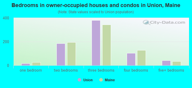 Bedrooms in owner-occupied houses and condos in Union, Maine