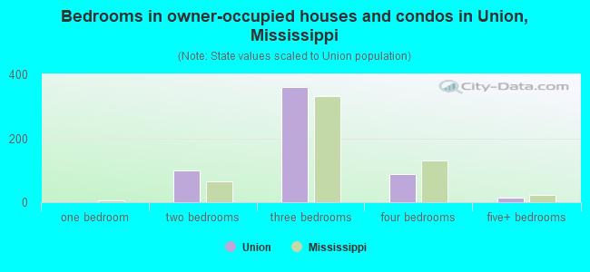 Bedrooms in owner-occupied houses and condos in Union, Mississippi