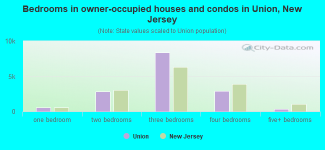 Bedrooms in owner-occupied houses and condos in Union, New Jersey