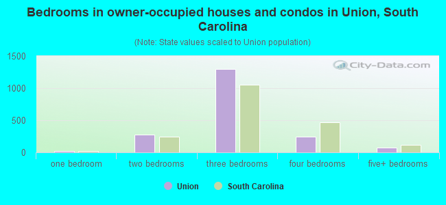 Bedrooms in owner-occupied houses and condos in Union, South Carolina