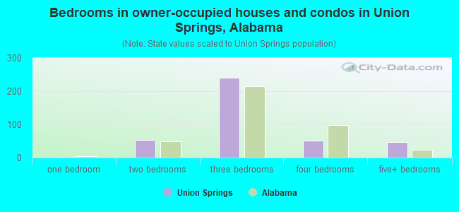 Bedrooms in owner-occupied houses and condos in Union Springs, Alabama