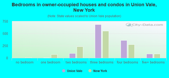 Bedrooms in owner-occupied houses and condos in Union Vale, New York