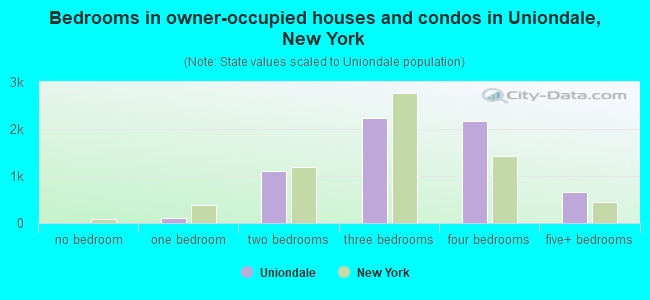 Bedrooms in owner-occupied houses and condos in Uniondale, New York