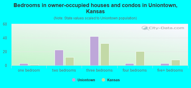 Bedrooms in owner-occupied houses and condos in Uniontown, Kansas