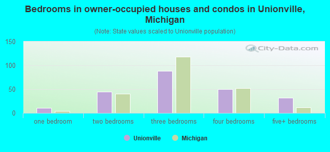 Bedrooms in owner-occupied houses and condos in Unionville, Michigan