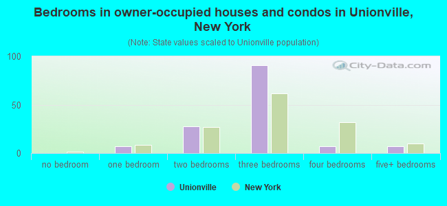 Bedrooms in owner-occupied houses and condos in Unionville, New York