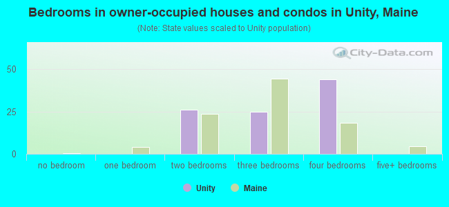 Bedrooms in owner-occupied houses and condos in Unity, Maine