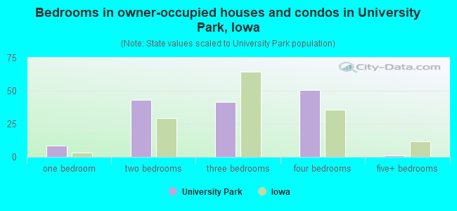 Bedrooms in owner-occupied houses and condos in University Park, Iowa