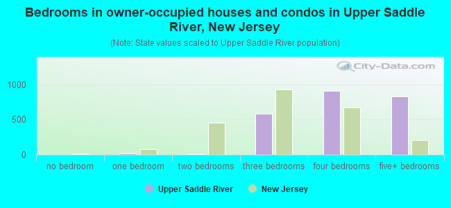Bedrooms in owner-occupied houses and condos in Upper Saddle River, New Jersey