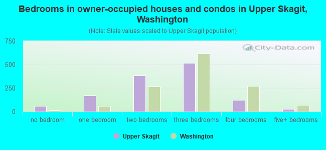 Bedrooms in owner-occupied houses and condos in Upper Skagit, Washington