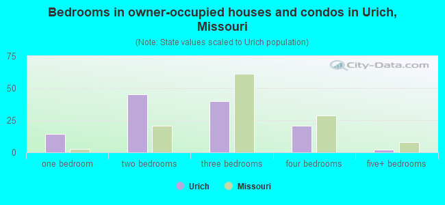 Bedrooms in owner-occupied houses and condos in Urich, Missouri