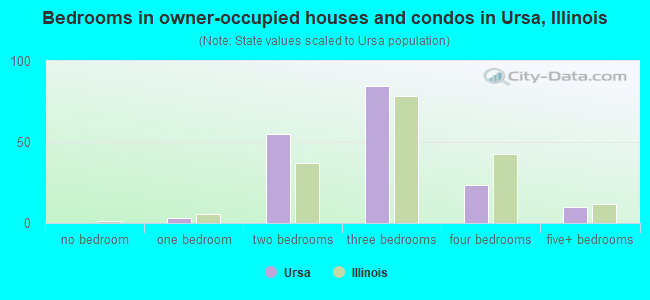 Bedrooms in owner-occupied houses and condos in Ursa, Illinois