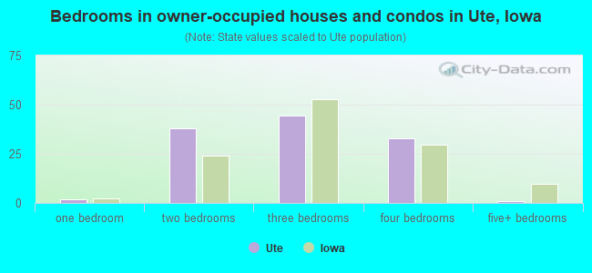 Bedrooms in owner-occupied houses and condos in Ute, Iowa
