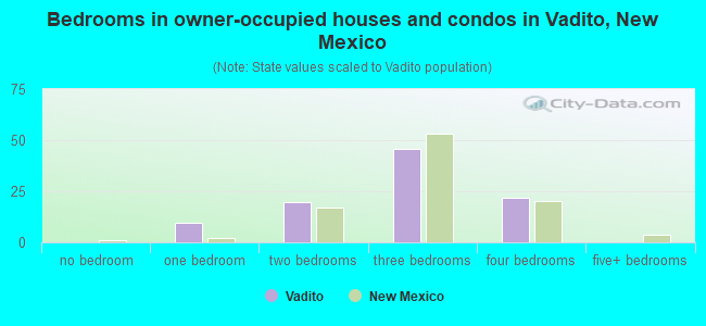 Bedrooms in owner-occupied houses and condos in Vadito, New Mexico