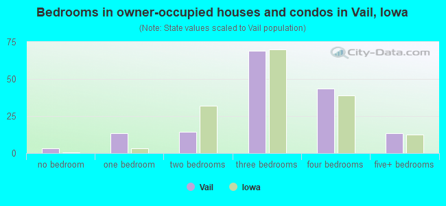 Bedrooms in owner-occupied houses and condos in Vail, Iowa
