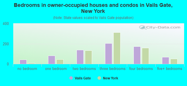 Bedrooms in owner-occupied houses and condos in Vails Gate, New York