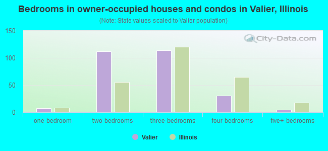 Bedrooms in owner-occupied houses and condos in Valier, Illinois
