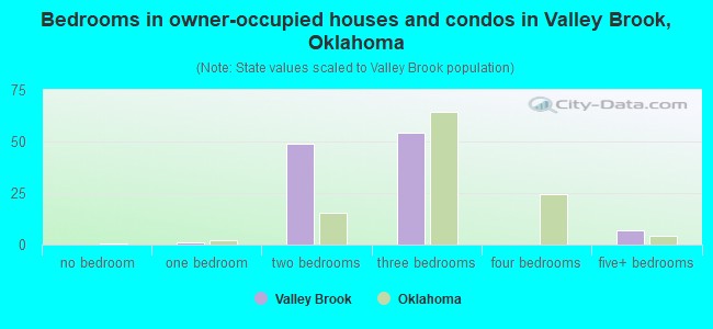 Bedrooms in owner-occupied houses and condos in Valley Brook, Oklahoma
