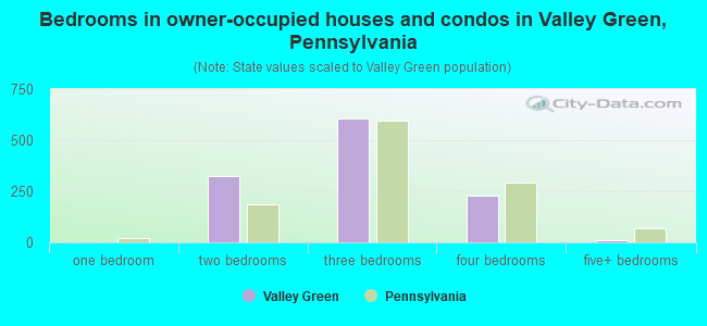 Bedrooms in owner-occupied houses and condos in Valley Green, Pennsylvania