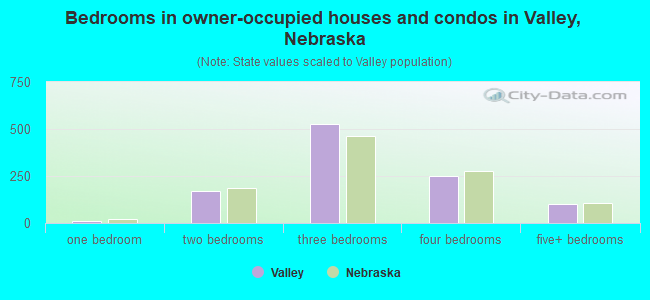 Bedrooms in owner-occupied houses and condos in Valley, Nebraska