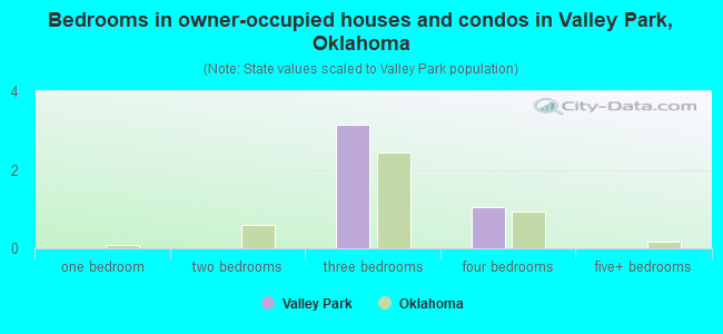 Bedrooms in owner-occupied houses and condos in Valley Park, Oklahoma