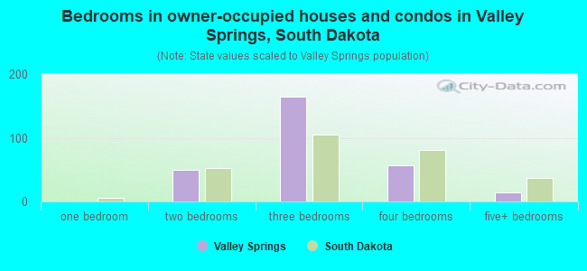 Bedrooms in owner-occupied houses and condos in Valley Springs, South Dakota