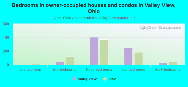 Bedrooms in owner-occupied houses and condos in Valley View, Ohio