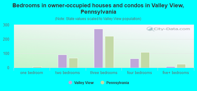 Bedrooms in owner-occupied houses and condos in Valley View, Pennsylvania