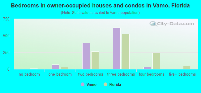 Bedrooms in owner-occupied houses and condos in Vamo, Florida